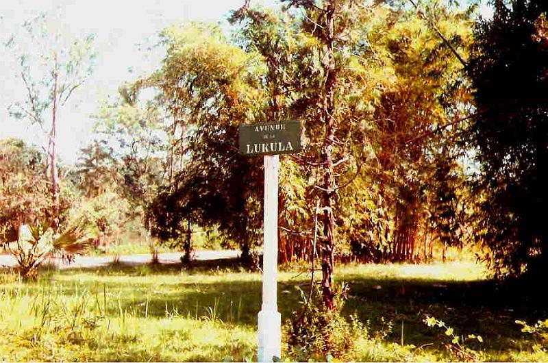 avenue_de_la_Lukula.jpg - Avenue de la Lukula