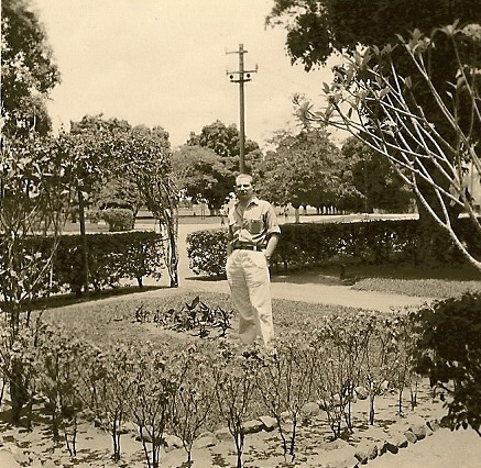 033.jpg - Forminière Tshikapa 1956 - Allée des manguiers - J. Gilisquet