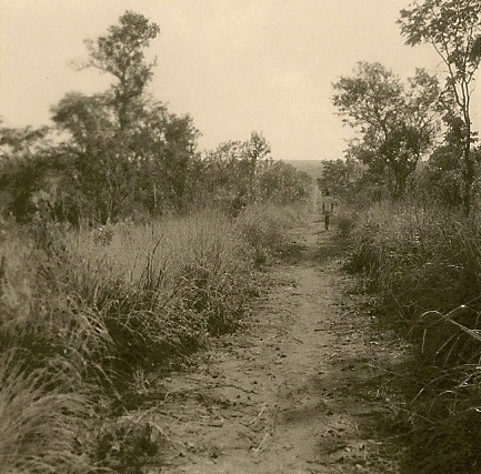 044.jpg - Piste frontière Angola