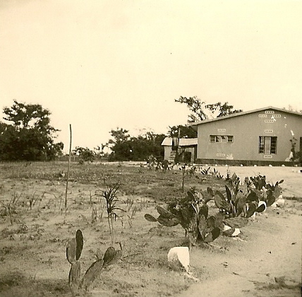 070.jpg - 1958 Forminière Bakwanga - Prospection à Katsha