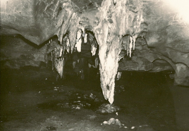 117.jpg
