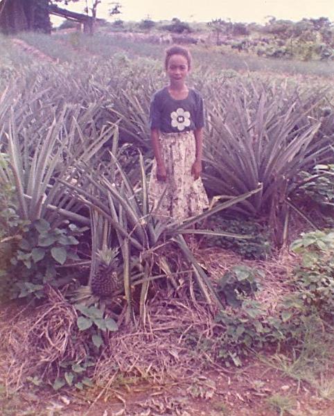 38.jpg - Annick Martin dans le champ d'ananas